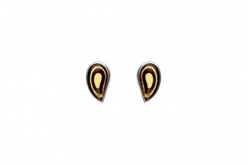 489/EAR/RZ1