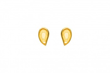 489/EAR/RZ2/Z