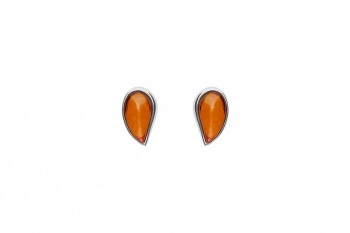 489/EAR1