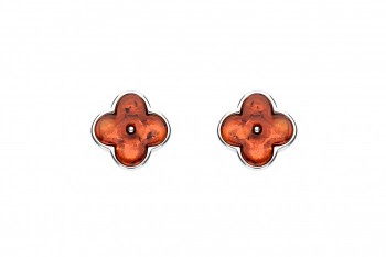804/EAR