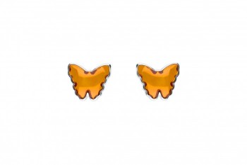 818/EAR