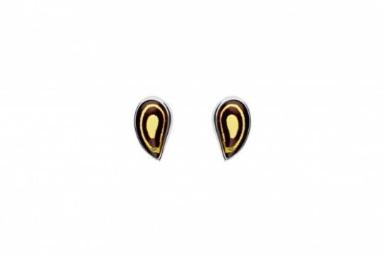 489/EAR/RZ1