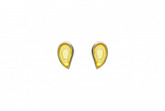 489/EAR/RZ2