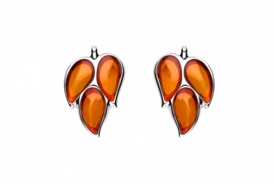 489/EAR2