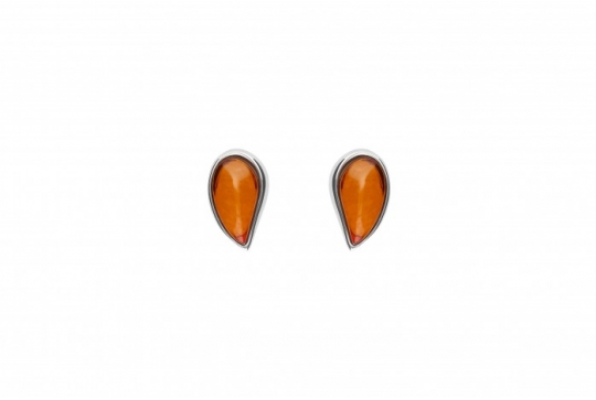 489/EAR1