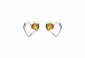463/EAR2
