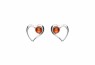 463/EAR2