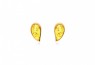 489/EAR1/Z