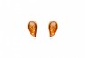 489/EAR1/Z