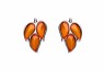 489/EAR2