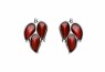 489/EAR2