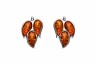 489/EAR2