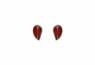 489/EAR1