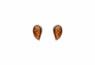 489/EAR1