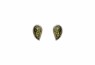 489/EAR1