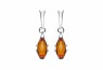 520/EAR