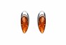 521/EAR