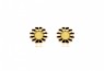 556/EAR/Z