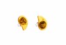 579/EAR