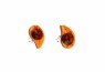 579/EAR