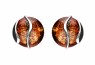 580/EAR