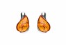 609/EAR